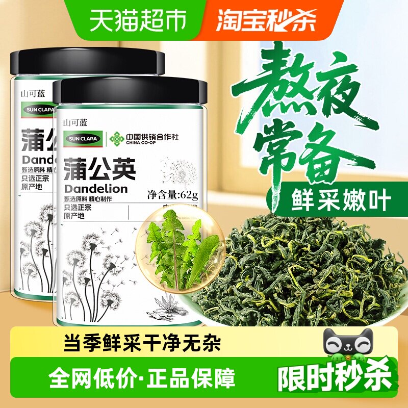 SunClara山西蒲公英茶当季鲜采图片