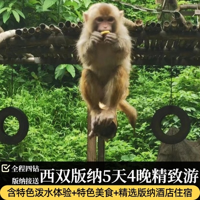 西双版纳5天曼听公园野象谷四钻游