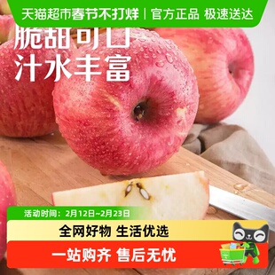隰悦正宗山西特色苹果 吉县红富士苹果 礼盒装苹果当季新鲜水果
