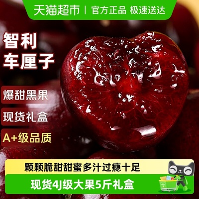 现货智利车厘子4J级原箱礼盒