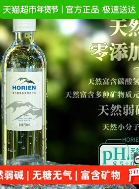 HORIEN/活力恩克东天然苏打水无气弱碱性500ml*12瓶pH8.5北纬47°
