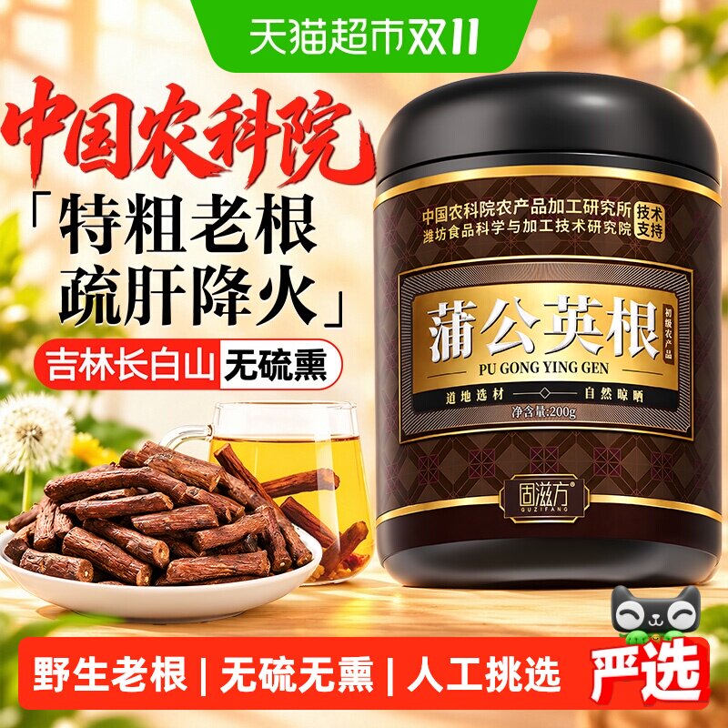 长白山野生蒲公英根天然根炒熟茶火散中药材茶正品去官舰旗店方