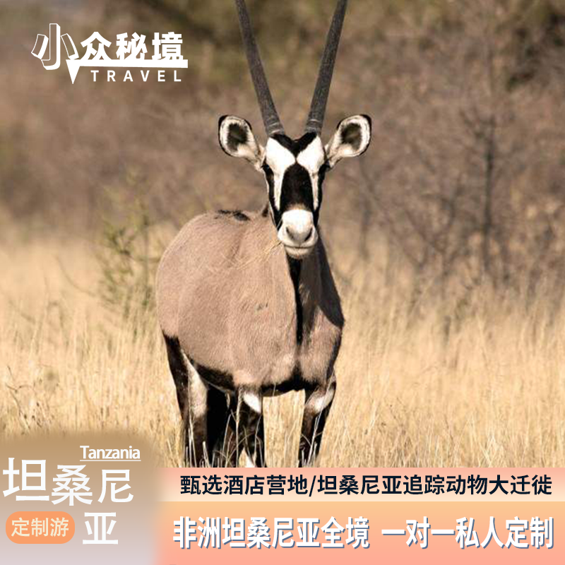 小众秘境·非洲坦桑尼亚一对一专属定制旅行园内星级帐篷酒店营地
