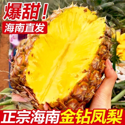 正宗海南特产金钻凤梨当季新鲜水果脆甜多汁香甜无眼凤梨大果