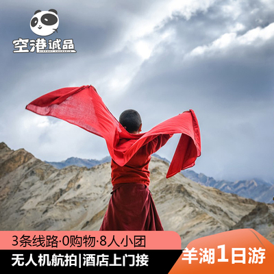 羊卓雍措一日游