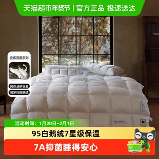 水星家纺匈牙利进口95白鹅绒冬被单双人羽绒被子25年新品
