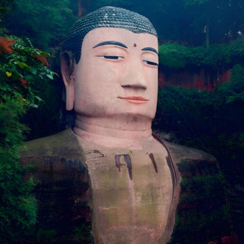 D5天4晚成都乐山市私家团住加州壹号+专属用车一次被宠坏的旅行