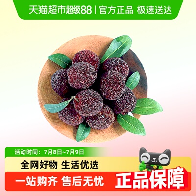 仙居东魁杨梅大果礼盒装
