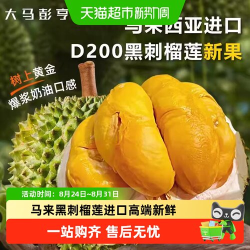 大马彭亨州原装进口黑刺榴莲D200