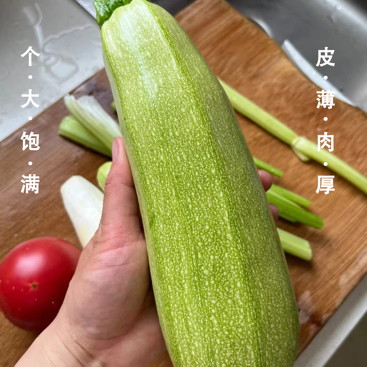 新鲜时令蔬菜西葫芦嫩瓜绿皮农家自种产地直供现摘现发脆嫩多汁