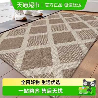 赛勒高级感入户地垫脚垫