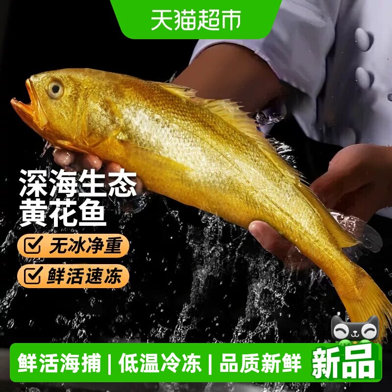 黄花鱼新鲜冷冻特大黄鱼鲜活生鲜深海鱼黄鱼鲞小黄鱼商用批发