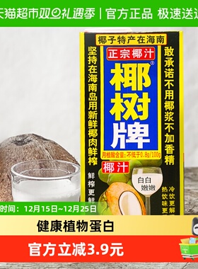 椰树椰奶饮料植物蛋白椰汁1000ml*2盒/组正宗椰树牌海南特产