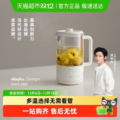 olayks租房公司小mini家用养生壶