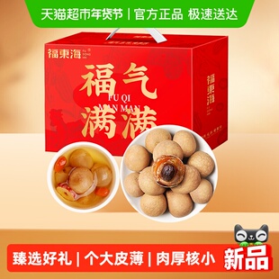 【年货礼盒】福东海桂圆干礼盒荔枝干精选大果肉厚核小煲汤泡茶