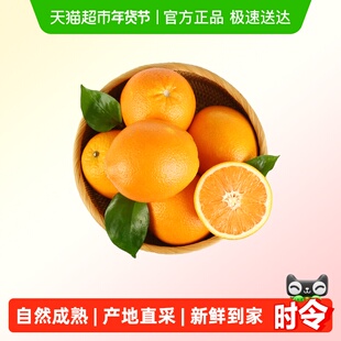 江昊阳正宗重庆奉节脐橙纽荷尔当季鲜橙子新鲜水果广柑子产地直采