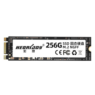 m.2笔记本台式机电脑M2固态硬盘1T 512g 256g 128g NGFF SATA SSD