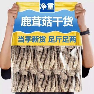 净重无干燥剂鹿茸菇新货农家特产海鲜菇鹿耳菇无熏硫滋补鹿茸菇