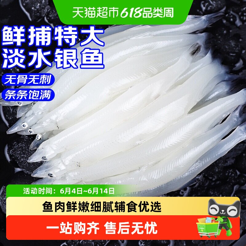 顺丰上门青岛大银鱼新鲜冷冻面条鱼白饭鱼宝宝银鱼