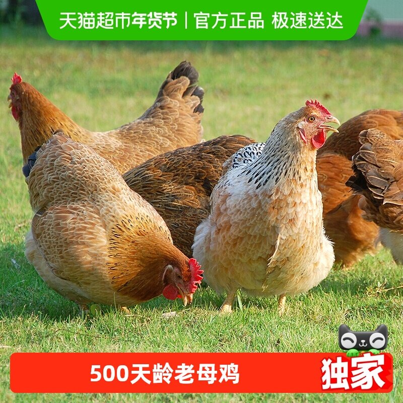 ����ѡ��������ĸ��1kg 500���� ����ĸ������ũ��ɢ�������ߵؼ� 16.53Ԫ