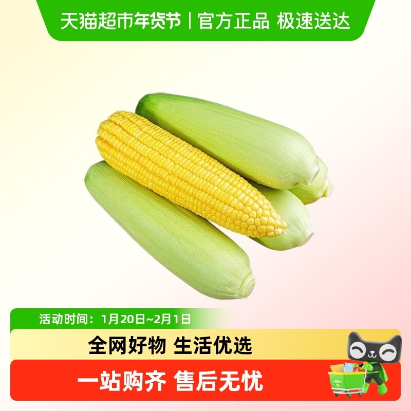 发货新鲜玉米水果甜玉米爆浆玉米苞谷嫩棒子代餐粗粮,水产肉类/新鲜蔬果/熟食,新鲜玉米,淘宝优惠券,粉丝福利购,淘宝优惠卷