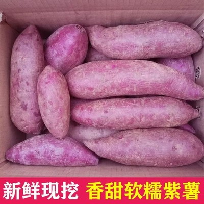 紫薯新鲜农家自种沙地红薯3/5/9斤紫罗兰蜜薯糖心甜山芋番薯地瓜