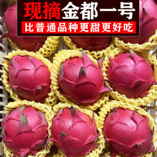 3斤 包邮 金都一号红心火龙果当季 新鲜水果整箱批发火龙果特大果5斤