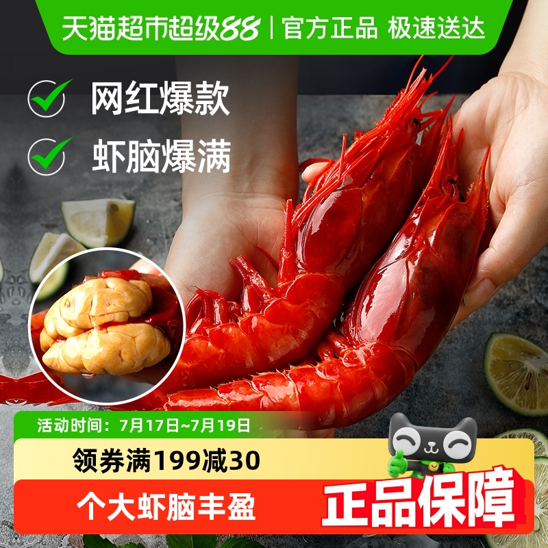 遇上鲜红魔虾日料刺身级海捕特大