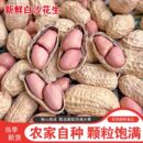 生花生2025年新货晒干带壳新鲜花生果原味白沙带皮高产薄壳种籽子