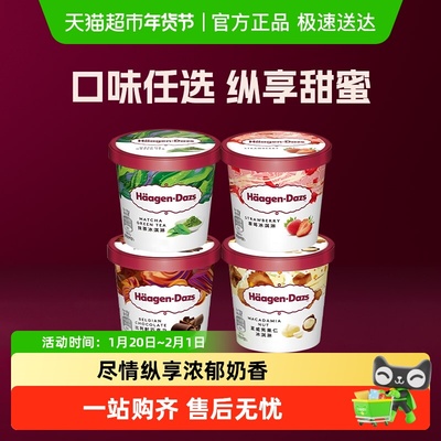 哈根达斯雪糕多口味冰淇淋