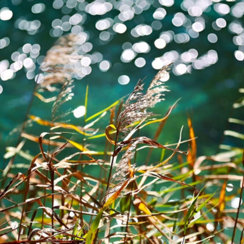 D4天3晚成都九寨沟市私家团住西门智选+专属用车一次被宠坏的旅行