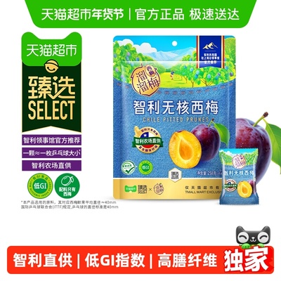 溜溜梅智利无核西梅