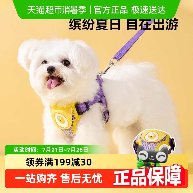 ʹǣʽСȮ̩ļ޹ӳر84.5Ԫ5(16.9Ԫ/)