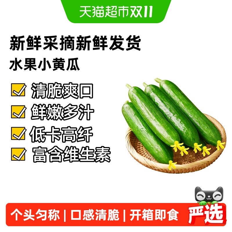 山东水果黄瓜生吃青瓜蘸酱无刺鲜黄瓜时令小黄瓜蔬菜旱黄瓜
