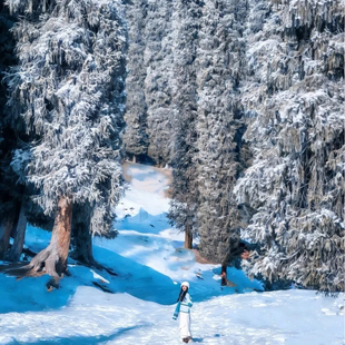 【2-6人纯玩品质】5天4晚伊犁 赛里木湖+天鹅泉+库尔德宁+那拉提