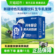 天润奶啤新疆特色乳酸菌饮料非啤酒整箱易拉罐装