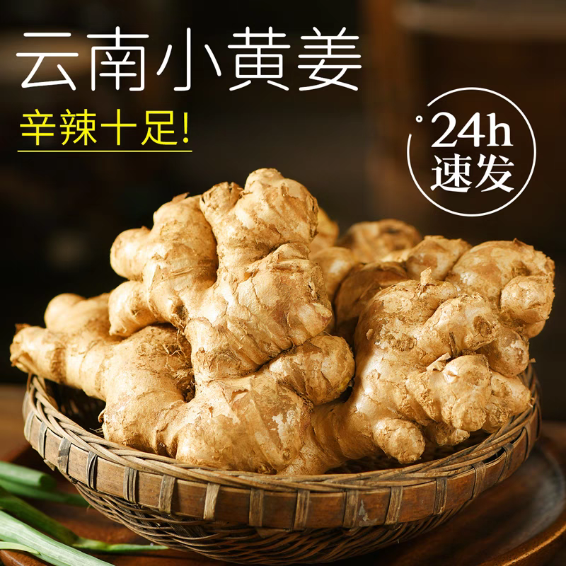 正宗云南新鲜小黄姜生姜干老姜嫩姜土姜子姜现挖高山沙姜5斤包邮