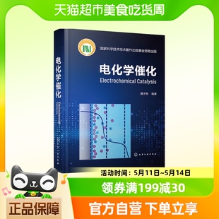 化学工业出版 电化学催化 电催化基础理论研究方法 魏子栋 社书籍