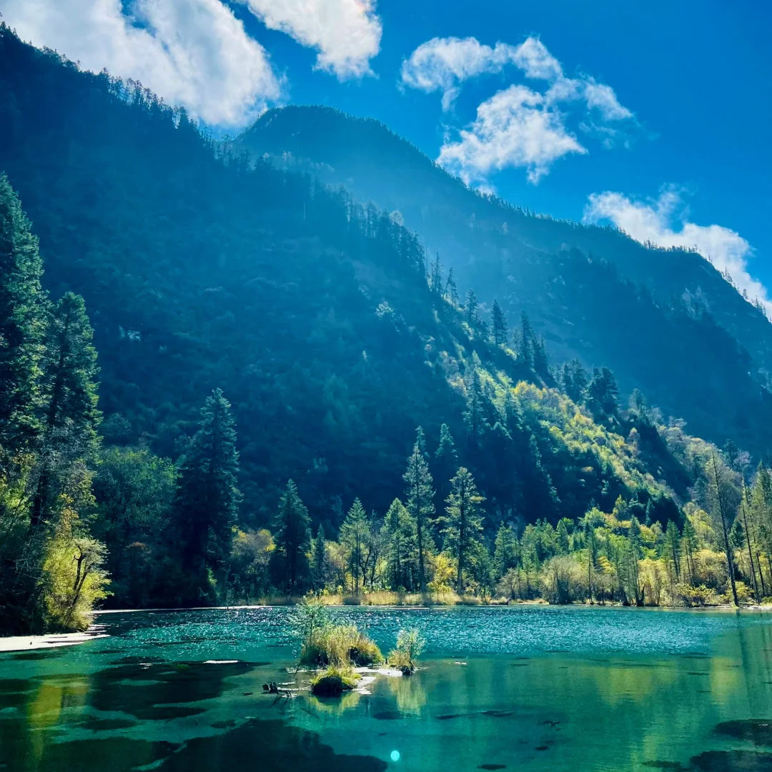 毕棚沟一日游&2-6人包车游&含门票观光车&成都出发&三环内接送