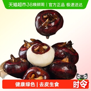 新鲜马蹄荸荠应当季水果蔬菜现挖马蹄莲脆地栗梨饽荠中果