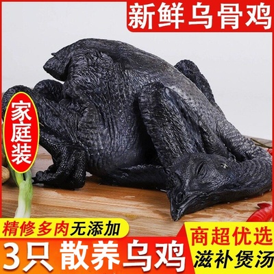 乌鸡新鲜现杀正宗土鸡农家散养五黑鸡乌骨鸡活鸡公鸡月子鸡老母鸡