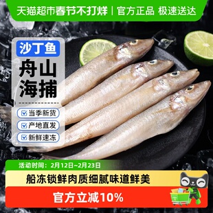 赫敏食品舟山沙丁鱼新鲜尖梭鱼深海捕鱼鲜活冷冻海鱼海鲜水产