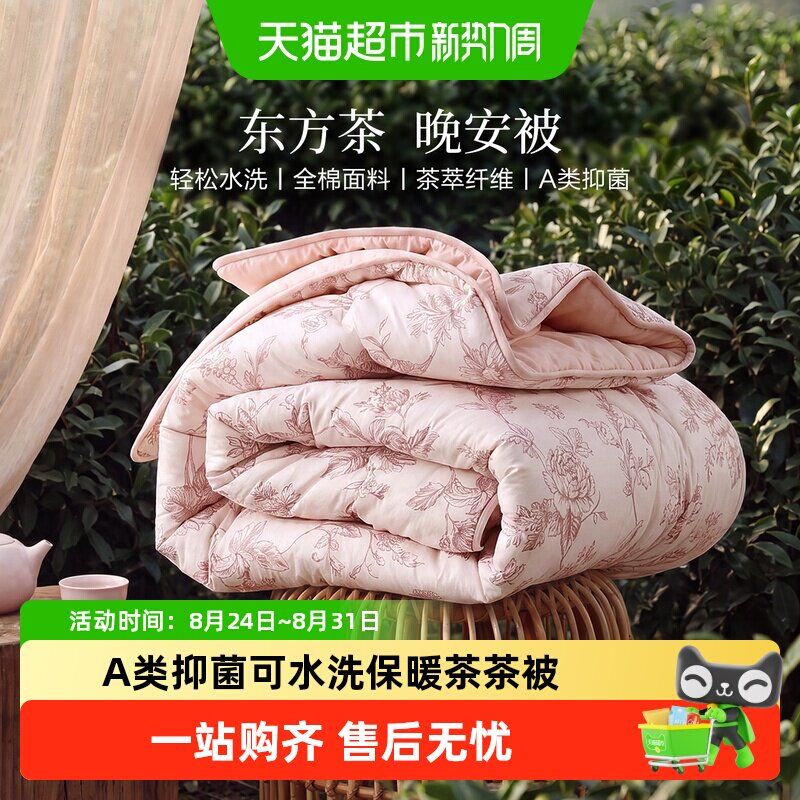 百丽丝家纺A类抑菌秋冬保暖被芯