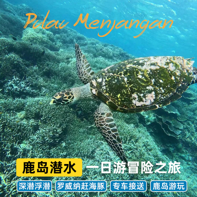 巴厘岛罗威纳鹿岛一日游看日出追海豚鹿岛潜水游浮潜深潜鹿岛潜水