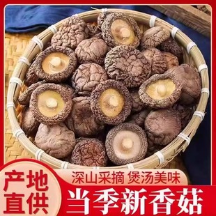 香菇干货西峡特产干香菇菌类农家特产级散装 蘑菇冬菇煲汤食材