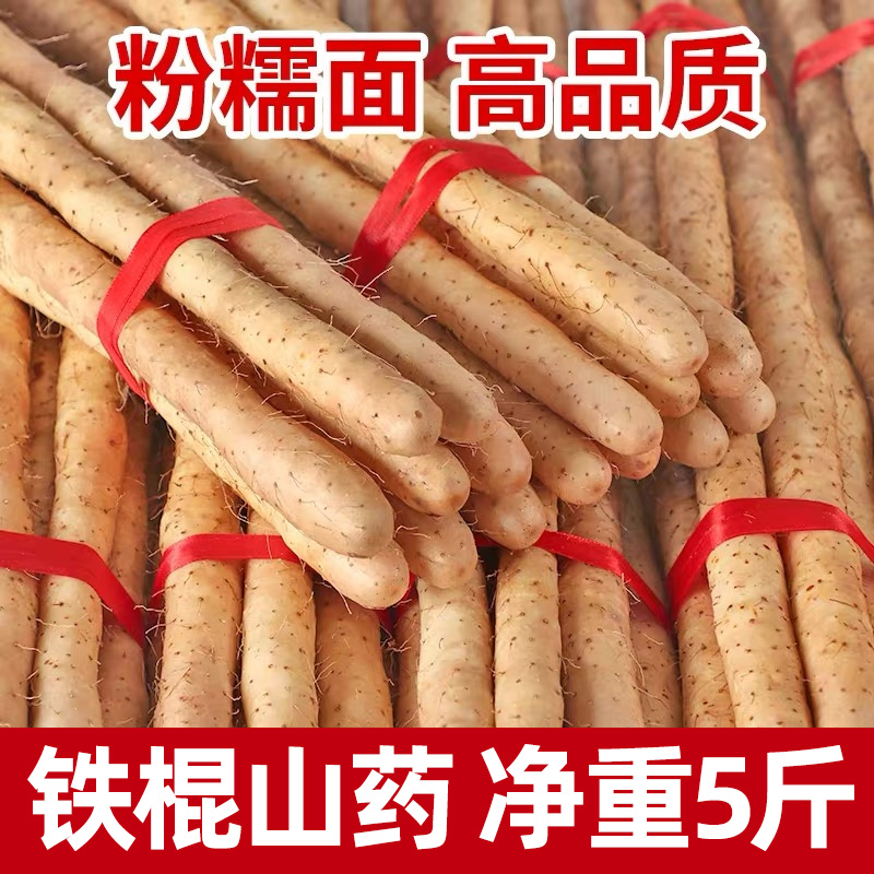 正宗铁棍山药新鲜铁杆淮山现挖小白嘴山药新鲜蔬菜批发包邮