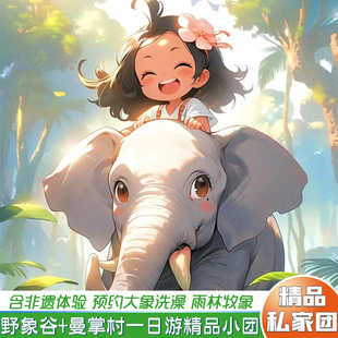 西双版纳曼掌村非遗体验+野象谷雨林牧象 大象救助洗澡亲子一日游