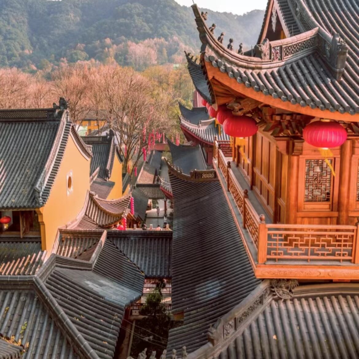 [私家讲解团]上天竺法喜讲寺[专业导游深度礼佛讲解2小时含素斋]