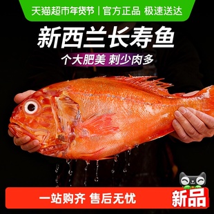 云储生活深海长寿鱼超大海鱼橙红石斑鱼新西兰海鲜水产鲜活冷冻
