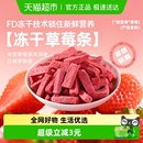 薛记炒货冻干草莓条40g 袋草莓冻干酥脆酸甜果干烘焙休闲零食